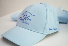 Zeta Amicae Baseball Cap