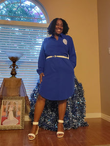 Zeta Shield Button-Down Shirt Dress