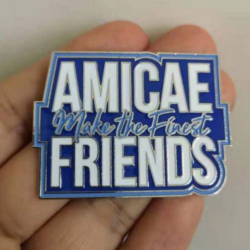 Amicae Make The Finest Friends Lapel Pin